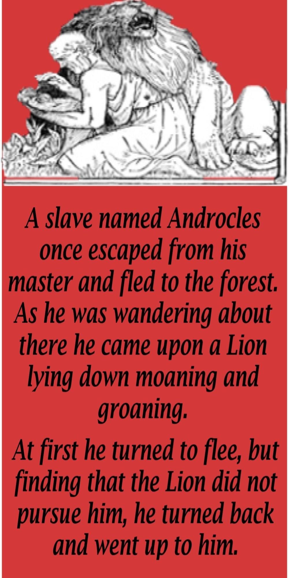 Androcles And The Lion 1 -