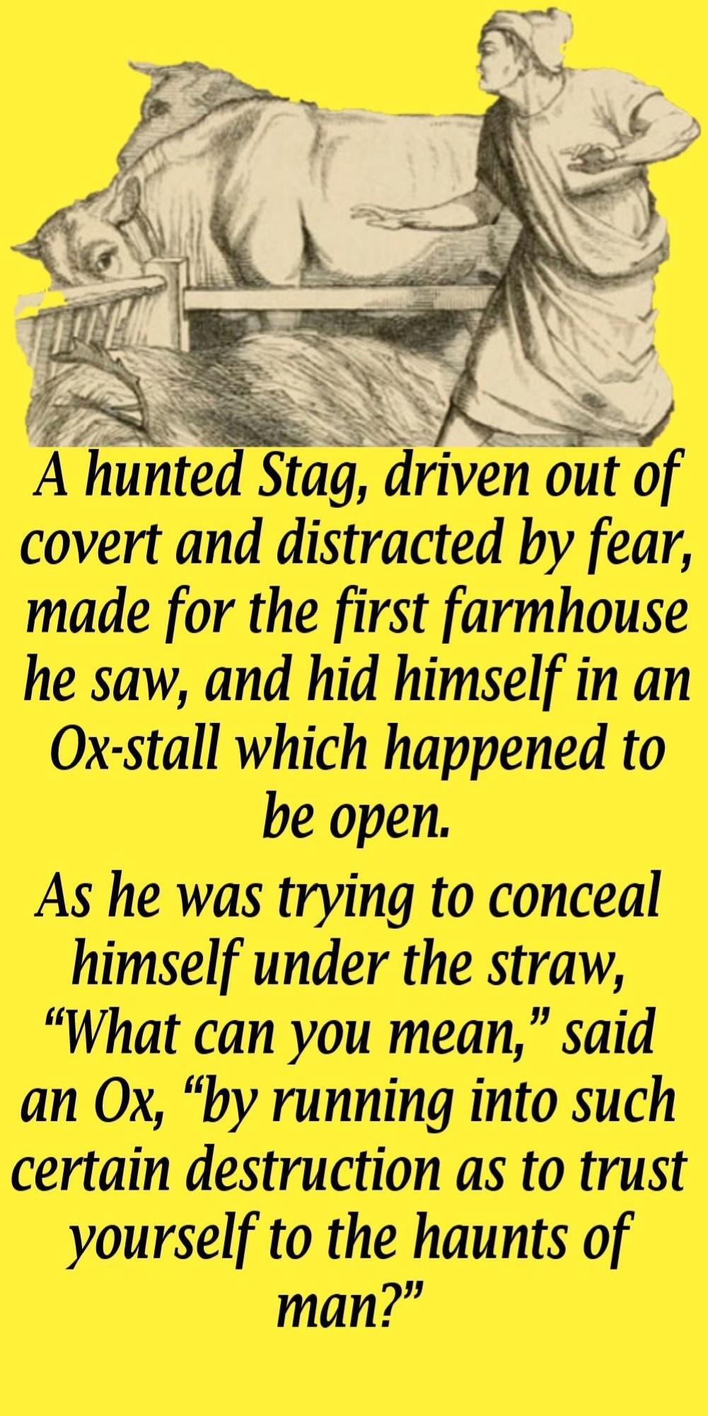 1The Stag In The Ox Stall -