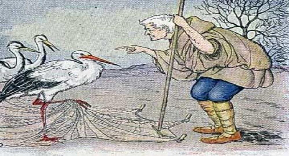 The Husbandman and the Stork - The Husbandman And The Stork