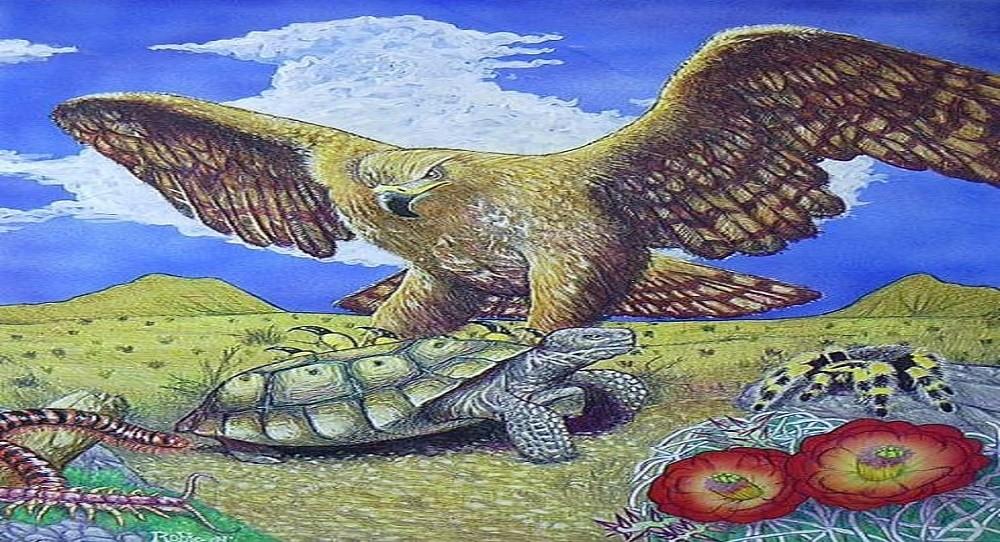 The Tortoise and the Eagle - The Tortoise And The Eagle