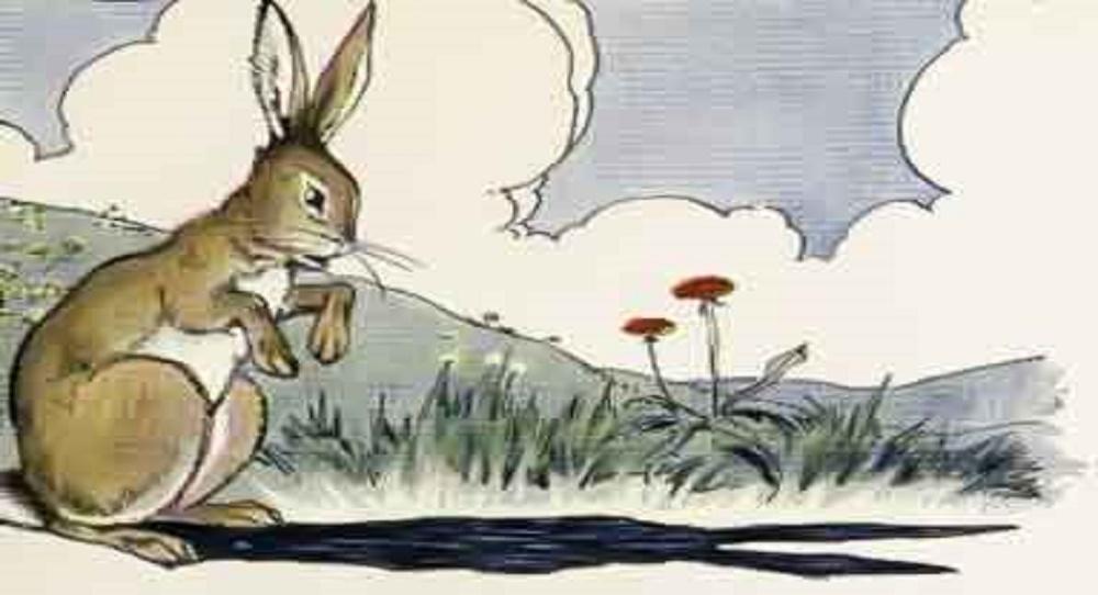 The Hare and His Ears 1 - The Hare And  His Ears