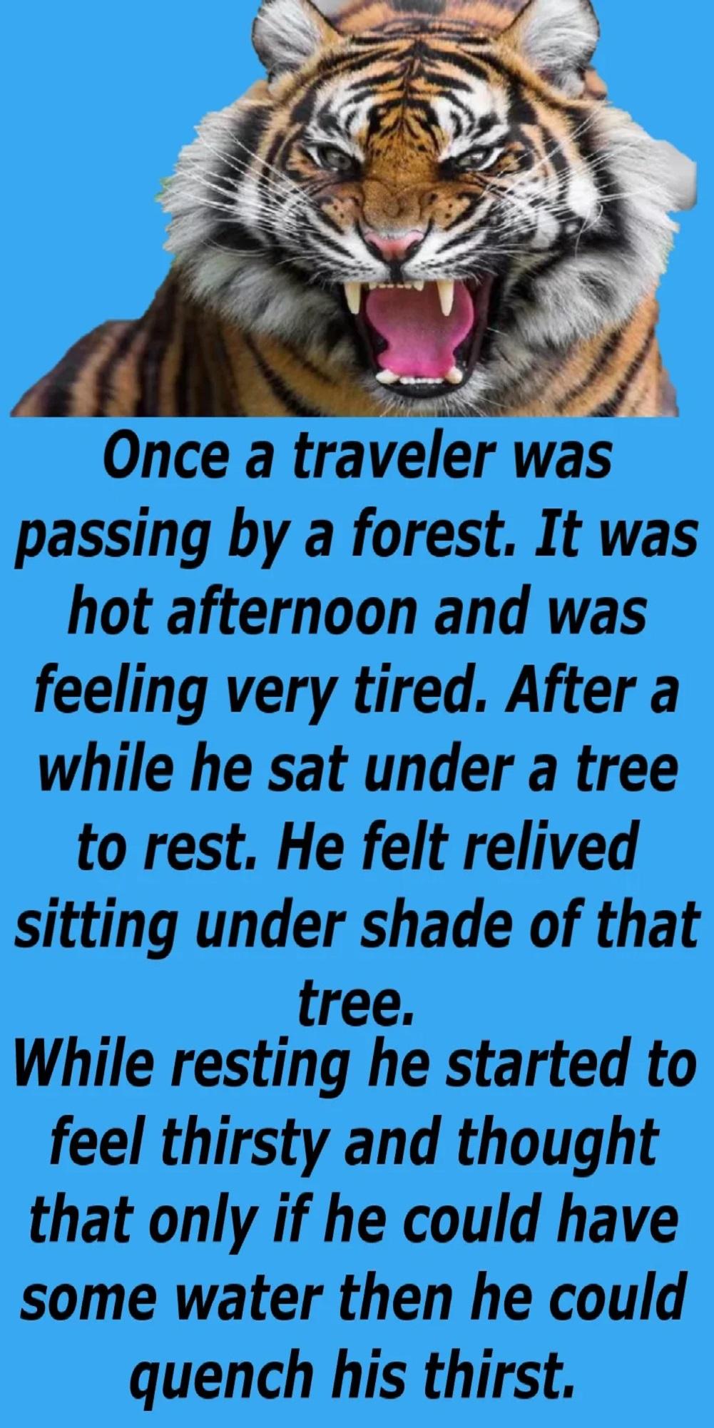 Traveler Thoughts s - Story For Kids